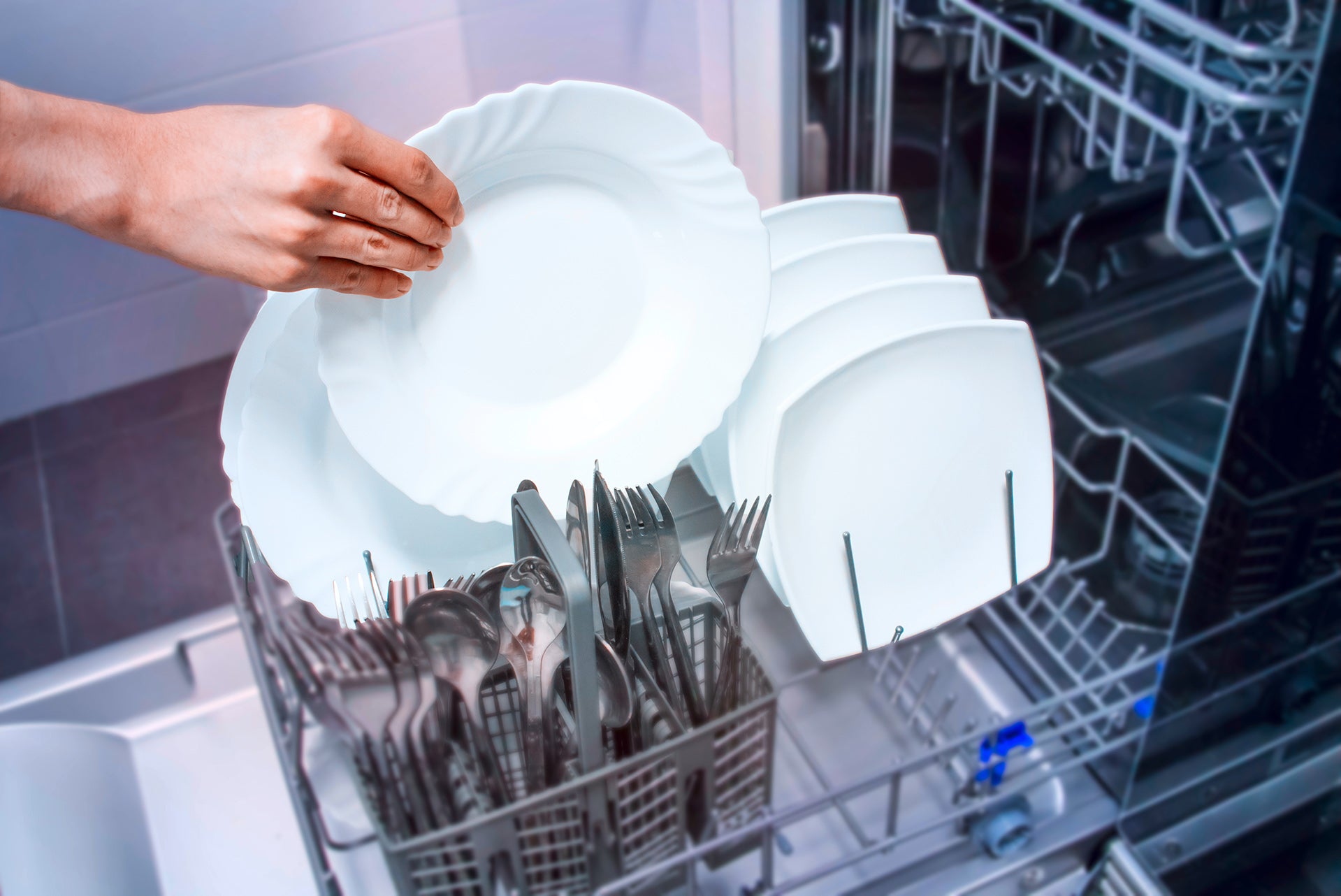 Dishwasher shopping shop